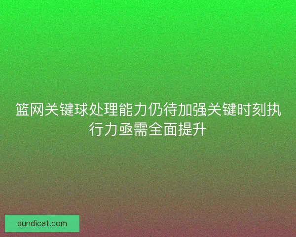 篮网关键球处理能力仍待加强关键时刻执行力亟需全面提升