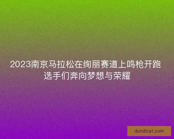 2023南京马拉松在绚丽赛道上鸣枪开跑 选手们奔向梦想与荣耀